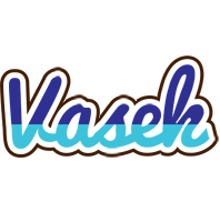 Vasek raining logo