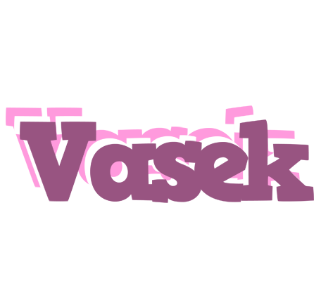 Vasek relaxing logo