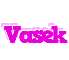 Vasek rumba logo