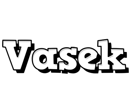 Vasek snowing logo