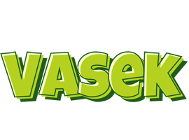 Vasek summer logo