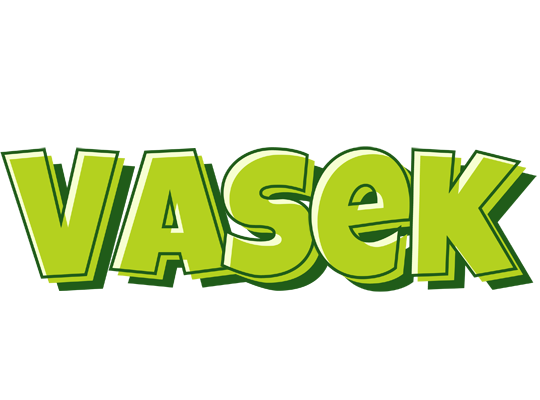 Vasek summer logo