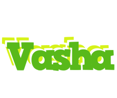 Vasha picnic logo