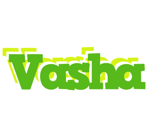 Vasha picnic logo