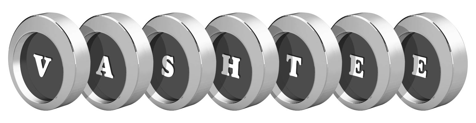 Vashtee coins logo
