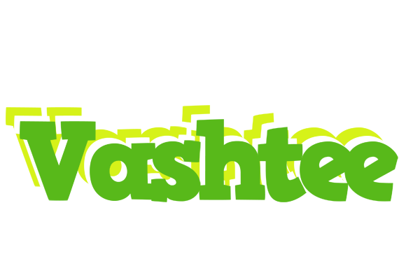 Vashtee picnic logo
