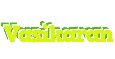 Vasikaran citrus logo