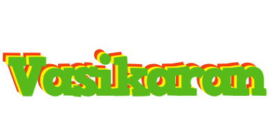Vasikaran crocodile logo