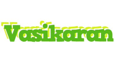 Vasikaran picnic logo