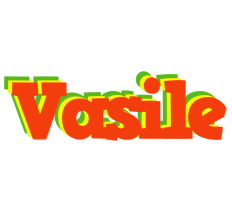 Vasile bbq logo