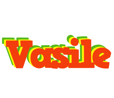 Vasile bbq logo