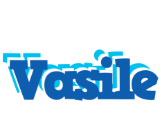 Vasile business logo