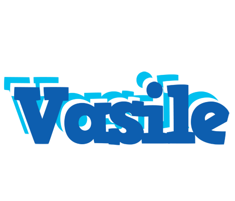Vasile business logo