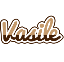 Vasile exclusive logo