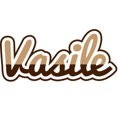 Vasile exclusive logo