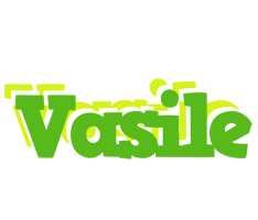 Vasile picnic logo