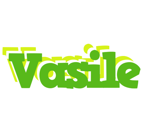 Vasile picnic logo