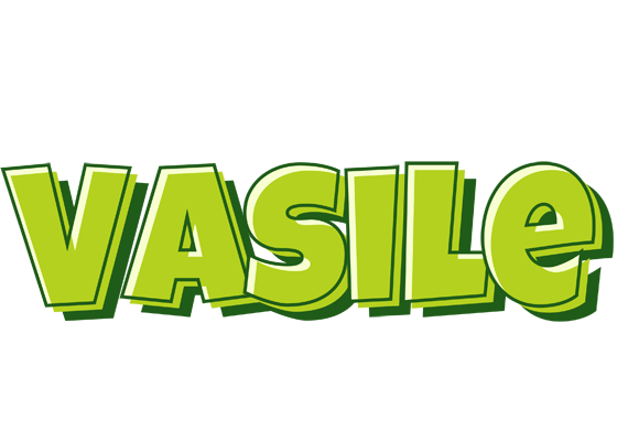 Vasile summer logo