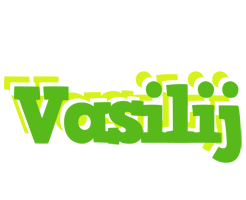 Vasilij picnic logo