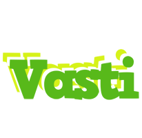 Vasti picnic logo