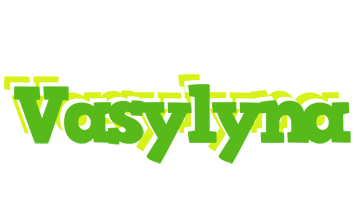 Vasylyna picnic logo