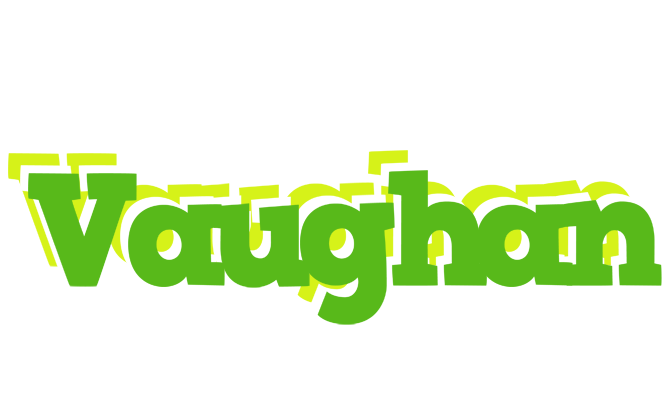 Vaughan picnic logo
