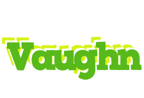 Vaughn picnic logo