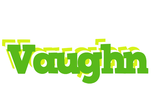 Vaughn picnic logo