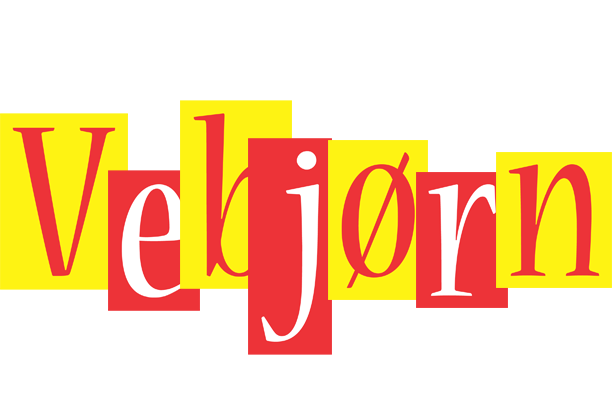 Vebjørn errors logo