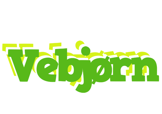 Vebjørn picnic logo
