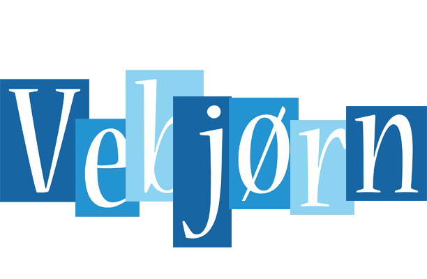Vebjørn winter logo