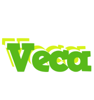 Veca picnic logo