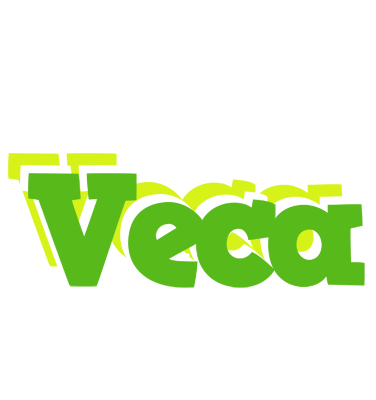 Veca picnic logo