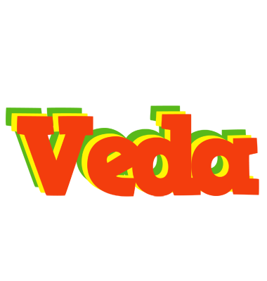 Veda bbq logo