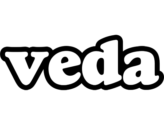Veda panda logo