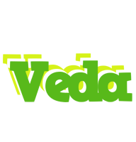 Veda picnic logo