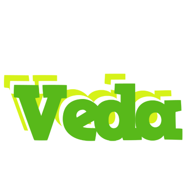 Veda picnic logo