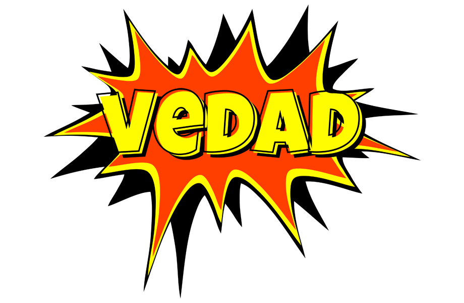 Vedad bazinga logo