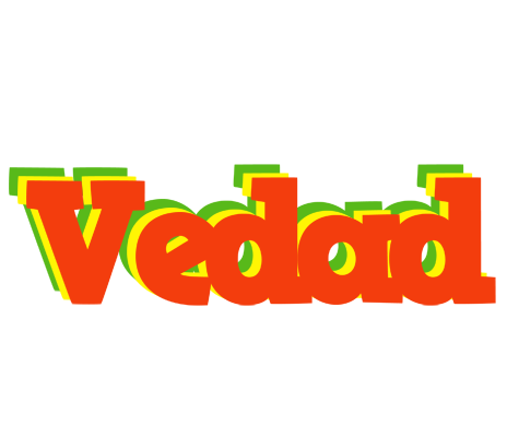 Vedad bbq logo