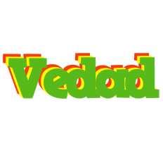 Vedad crocodile logo