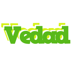 Vedad picnic logo