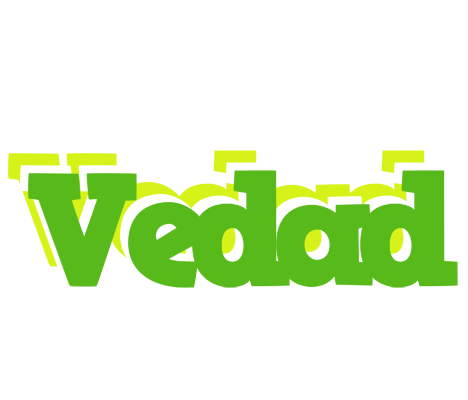 Vedad picnic logo