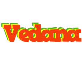 Vedana bbq logo