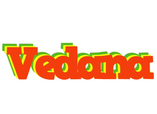 Vedana bbq logo