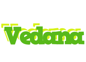 Vedana picnic logo