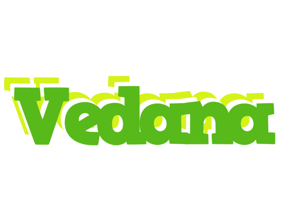 Vedana picnic logo