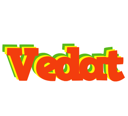 Vedat bbq logo