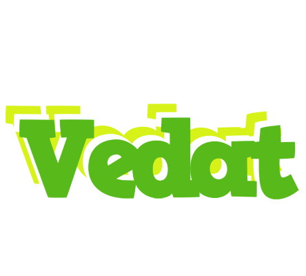 Vedat picnic logo