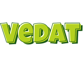 Vedat summer logo