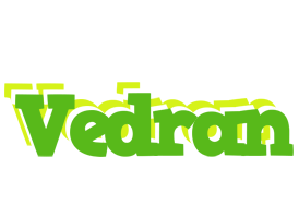 Vedran picnic logo
